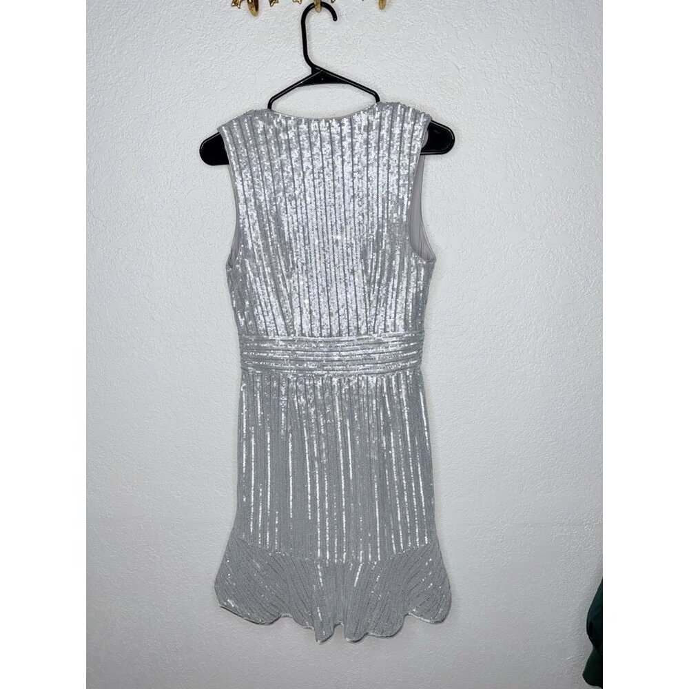 Saylor Sequin Mini Dress Gray Sequin Speak Easy Club Cocktail Art Deco Small H - Picture 6 of 6